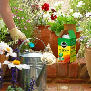 Miracle-Gro All Purpose Plant Food 1kg 2 Miracle-Gro All Purpose Plant Food 1kg - Image 2