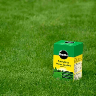 Miracle-Gro Water Soluble Lawn Food 1kg 2 Miracle-Gro Water Soluble Lawn Food 1kg - Image 2