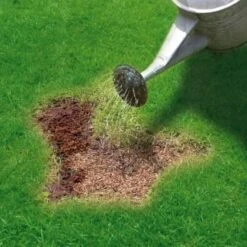 Miracle-Gro Patch Magic Grass Seed, Feed & Coir 1.1kg -Garden Series Store 245940 miracle gro patch magic grass seed feed and coir 3