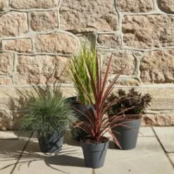 B&M Soho Pot Planter - Charcoal 28cm 8 B&M Soho Pot Planter - Charcoal 28cm -Garden Series Store 378389 385058 381595 soho planter charcoal 38cm 28cm 17cm