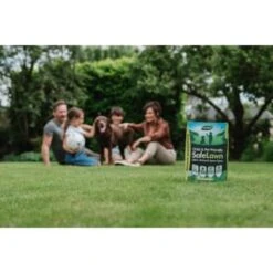 B&M Westland Safe Lawn Spreader Box 80m2 -Garden Series Store 384000 safe lawn spreader box 80m 4