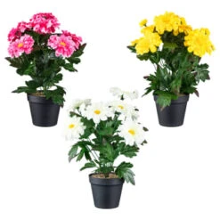 B&M Zinnia Plant Pot - Yellow -Garden Series Store 392826 zinnia in pot group