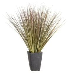 B&M Onion Grass In Black Terracotta Pot