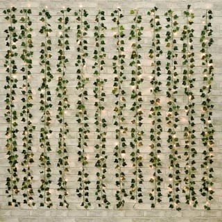 Solar Powered Artificial Ivy Leaf Curtain 180 X 180cm 1 Solar Powered Artificial Ivy Leaf Curtain 180 X 180cm