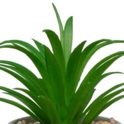 B&M Assorted Small Concrete Succulents -Garden Series Store 394713 small concrete succulent 2