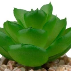 B&M Assorted Small Concrete Succulents -Garden Series Store 394713 small concrete succulent 6